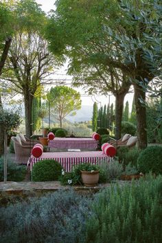 an outdoor seating area with potted plants and striped table cloth on the couches