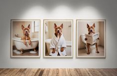 three pictures of dogs in bath robes on the wall