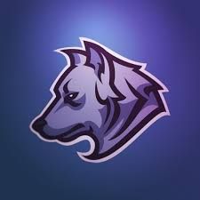 a dog's head is shown on a purple and blue background with the word, team