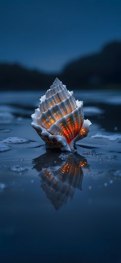 a sea shell in the water with its lights on