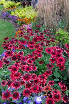 colorful flowers and grasses line the edge of a garden