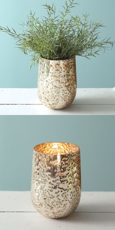 two vases that have plants in them