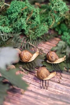 Snail pins for the hair, made in resin to wear in your braid or hairdo. This listing is a set of 3 pins. Are made in resin, very realistic Are easy to plunk just about any hair-do.  The snails are 4cm each. Wings Inspiration, Wedding Cottagecore, Modern Candle Holders, Goblin Core, Wedding Accessory, Whimsical Wedding, Head Piece, Woodland Wedding, Cosplay Outfits