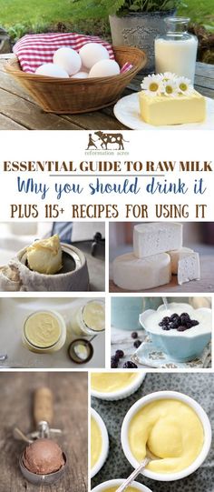 Essential Guide To Raw Milk (Plus 115 Recipes (With images) Unpasteurized Milk, Milk Ideas, Raw Cheese, Homestead Recipes, Cows Milk, Farm Fresh Milk