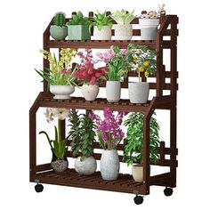 a shelf filled with potted plants on wheels