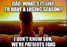 a bear sitting on top of a bed with the caption dad, what's it like to have a losing season? i don't know son, we're patriots fans