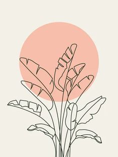 a drawing of a plant in front of a pink and white background with the sun behind it