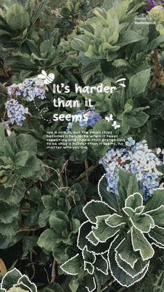 an image of some flowers and plants in the grass with words on it that say, it's harder than it seems