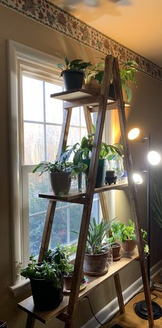 a ladder shelf with plants on it in front of a window