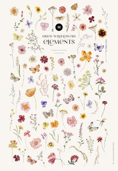 an illustrated book with flowers and butterflies on it