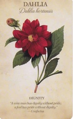 a red flower with the words dahla written on it's front and side