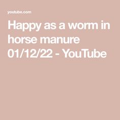 the words happy as a worm in horse manure 01 / 12 / 22 - youtubee