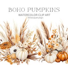 watercolor fall clipart with pumpkins, flowers and wheatstarts on white background