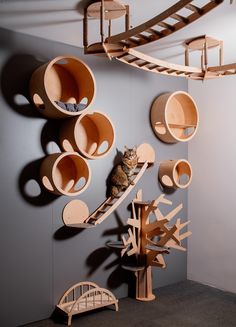 a cat sitting on top of a wooden shelf in front of a wall with shelves