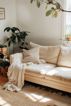 a living room filled with furniture and a potted plant on the side of the couch