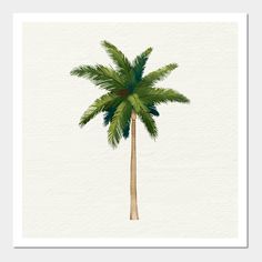 a drawing of a palm tree with green leaves on it's top and bottom