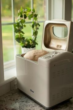 a bread dispenser sitting on top of a counter next to a window