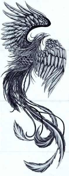 a drawing of a bird with wings on it