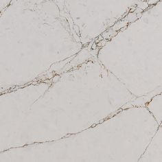 the marble is white and brown with gold veining on it's edges,