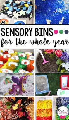 various images of different types of crafts and activities for the whole year with text overlay that says, sensory bins for the whole year