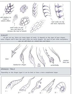 how to draw dragon tails step by step instructions for beginners and advanced drawing enthusiasts