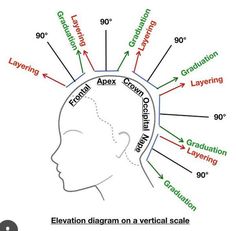 Cosmetology State Board, Beauty School Cosmetology, Hair Cut Guide, Hair Science, Hair Academy, Cosmetology Student, Hair Color Formulas, Hair School, Diy Haircut