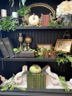 a book shelf filled with books, plants and other decorative items on top of it