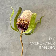 a flower that is sitting on top of a cement wall with the words diy crepe paper banksia