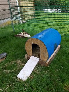 there is a blue barrel in the grass next to a white board and some ducks