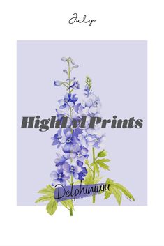 blue flowers with the words high end prints