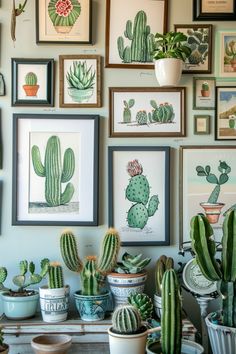 many framed pictures and cactus plants are on the wall next to each other in pots