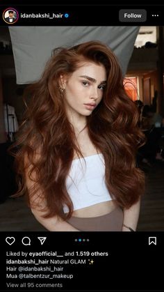 Brunette Hair Pale Skin, Dark Ginger Hair, Dark Auburn Hair, Red Hair Inspo, Blowout Hair, Glam Hair, Hair 2024, Alternative Hair