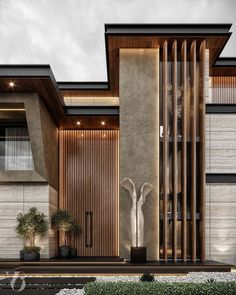 an architectural rendering of a modern house with wood and stone accents on the front door