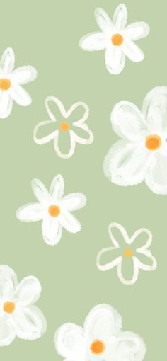 white and orange flowers on a green background