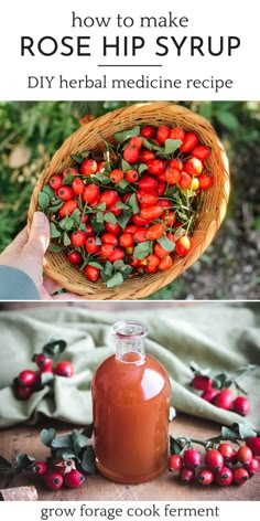 how to make rose hip syrup in a basket