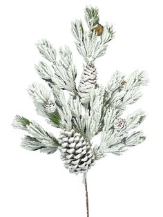 24 Frosted Ashland Pine Spray - 83818SP24 - The Wreath Shop Watermelon Wedding, Southern Winter, Pink Ladybug, Candle Ornament, Summer Trees, Candy Cane Wreath, Wreath Making Supplies, Halloween Ribbon, Line Flower