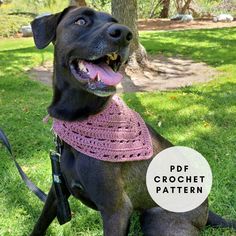 a black dog wearing a pink crochet collar sitting in the grass next to a tree