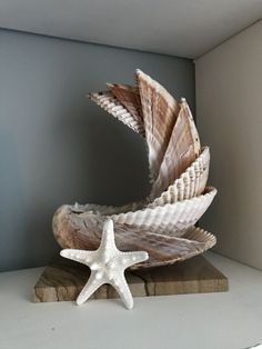 a starfish sculpture sitting on top of a wooden block next to a white wall