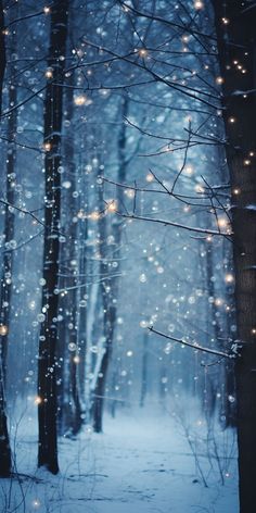 a snowy path with lights in the woods