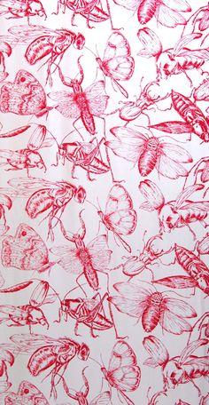 a red and white drawing of many different types of insects on a sheet of paper