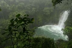 a large waterfall surrounded by lush green trees