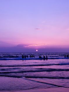 people are standing in the ocean at sunset