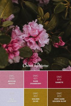 some pink flowers and green leaves on a color palette with the words, sweet places