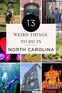 the words weird things to do in north carolina surrounded by images of people and animals