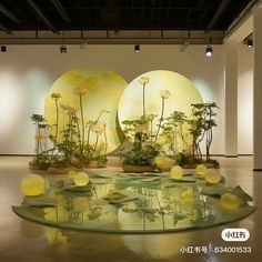 an art installation with flowers and plants on display in front of two large round mirrors