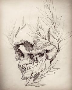 a pencil drawing of a skull with leaves on it's head and the lower half of its face