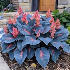 blue and pink flowers in front of a house