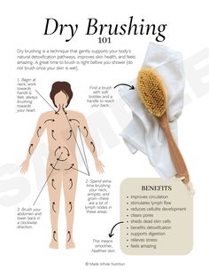 Dry Brushing 101 Benefits Of Dry Brushing, Membakar Lemak Perut, Motivasi Diet, Feminine Health, Health Research, Body Skin Care Routine, روتين العناية بالبشرة, Self Care Activities