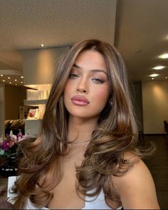 Hair Inspo Caramel Highlights, Honey Blonde Hair For Brunettes, Long Face Framing Layers Blowout, Face Frame Highlights Brown Hair, Blowout Homecoming Hair, Hair Inspo Brunette Balayage, Hair Inspo For Latinas, Cool Toned Light Brown Hair Color, Highlights With Red Undertones