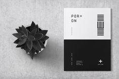 a black and white brochure next to a succulent plant on a concrete surface